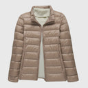 Stehkragen Khaki
